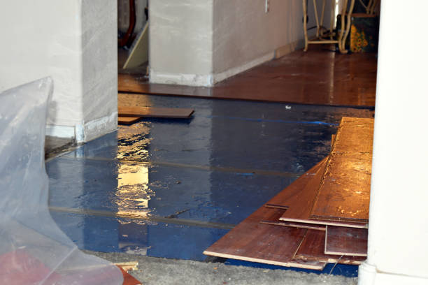 Professional Water Extraction technician working in Prudence Island, RI